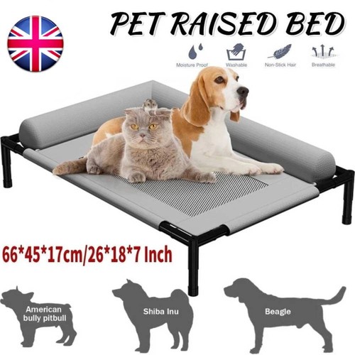 Orthopaedic elevated pet dog - elevated,