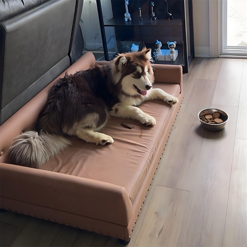 Luxury elevated dog - luxury,