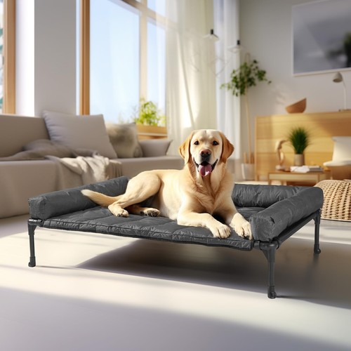 Veehoo raised dog - veehoo, large