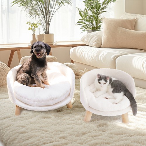 Raised pet dog - dog, sofa