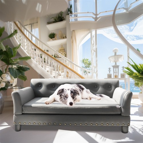 Luxury dog bed raised pet - dog,