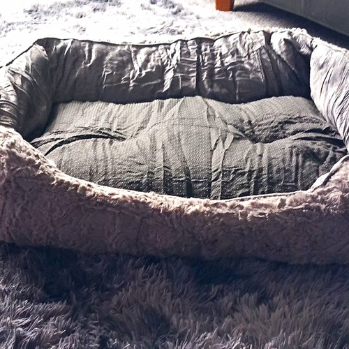 Grey plush dog bed - grey, cushion
