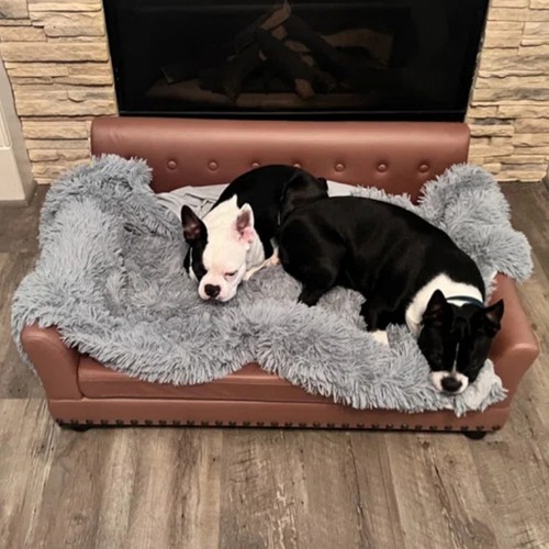 Large dog sofa bed - dog,