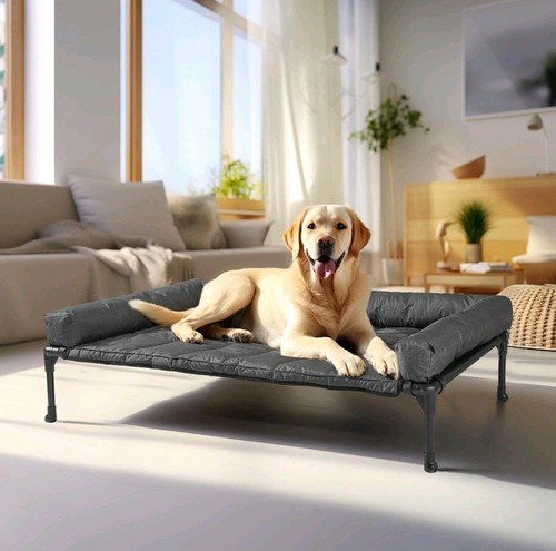 Veehoo raised dog - veehoo,