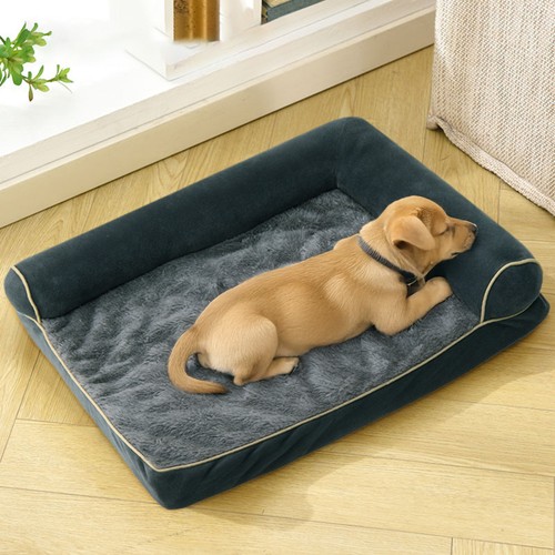 Raised edge dog sofa - dog,