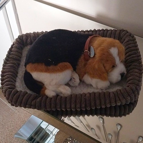 Small brown corduroy dog bed - small,