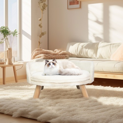 Pet cat raised sofa - pet,