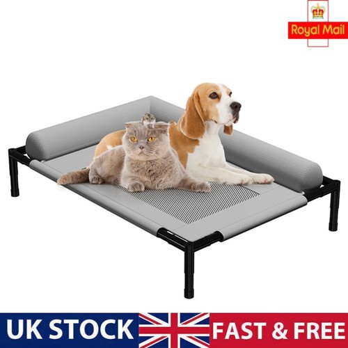 Raised mesh cooling dog - raised,