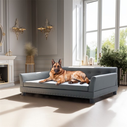Bingopaw large dog sofa - dog, bed
