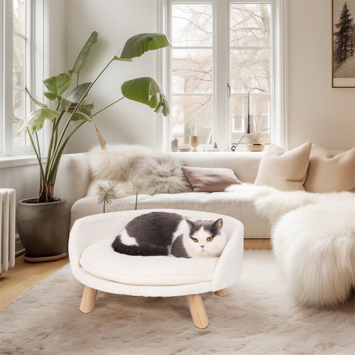 Round raised dog cat - dog,