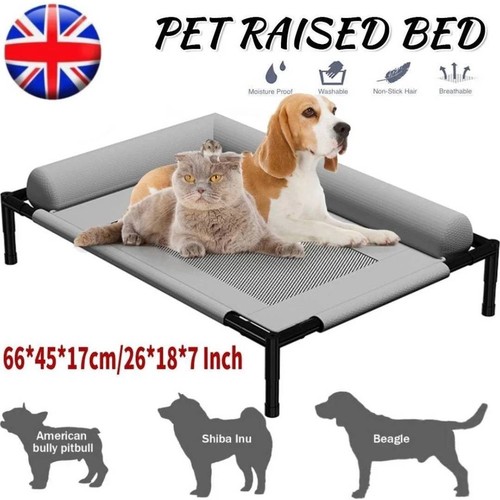 Orthopaedic elevated pet dog - elevated,