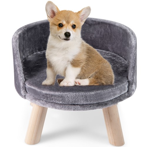 Elevated dog sofa bed - dog,