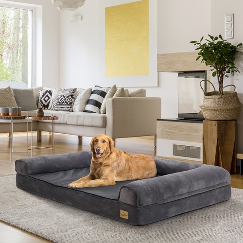 Heavy duty raised pet cat - pet, dog