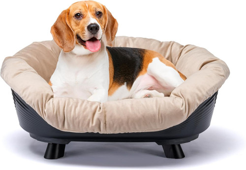 Cat dog bed with cushion - &,