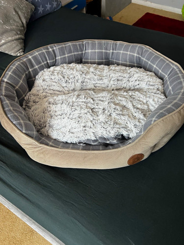 Grey beige oval dog bed - oval, l