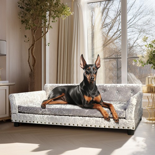 Large deluxe velvet - xl, dog