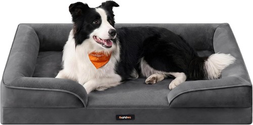Feandrea orthopaedic dog - feandrea,