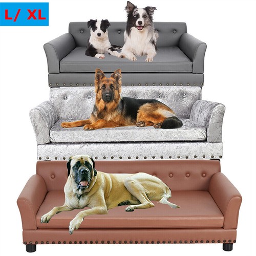 Heavy duty pet - duty, extra