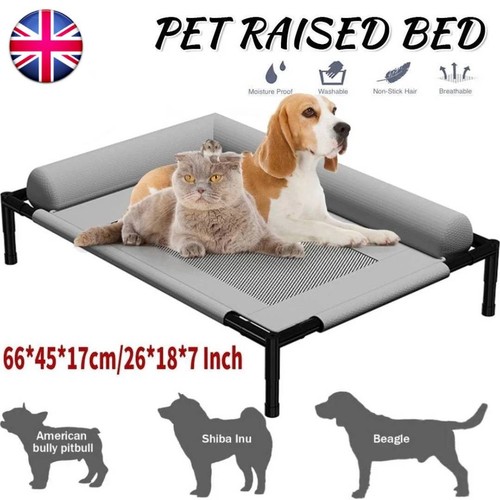 Orthopaedic elevated pet - elevated,